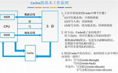 计算机组织与结构【9 高速缓冲存储器（cche）】